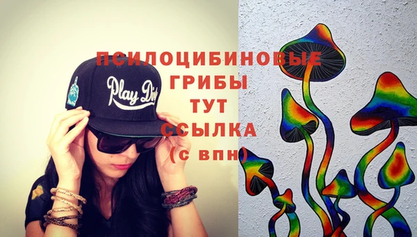альфа пвп Няндома