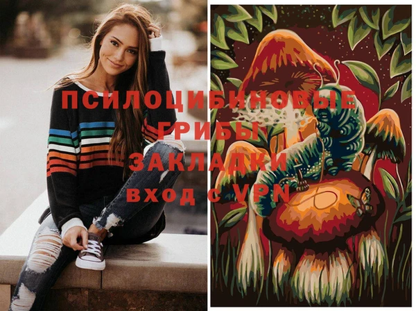 синтетический гашиш Болотное
