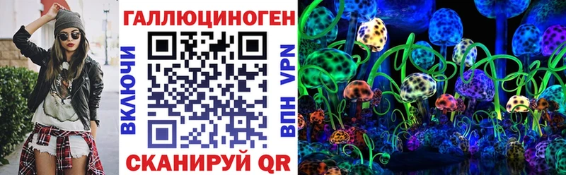 Псилоцибиновые грибы Cubensis  Берёзовский 